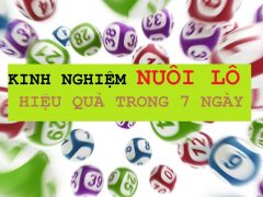 lô gan miền nam